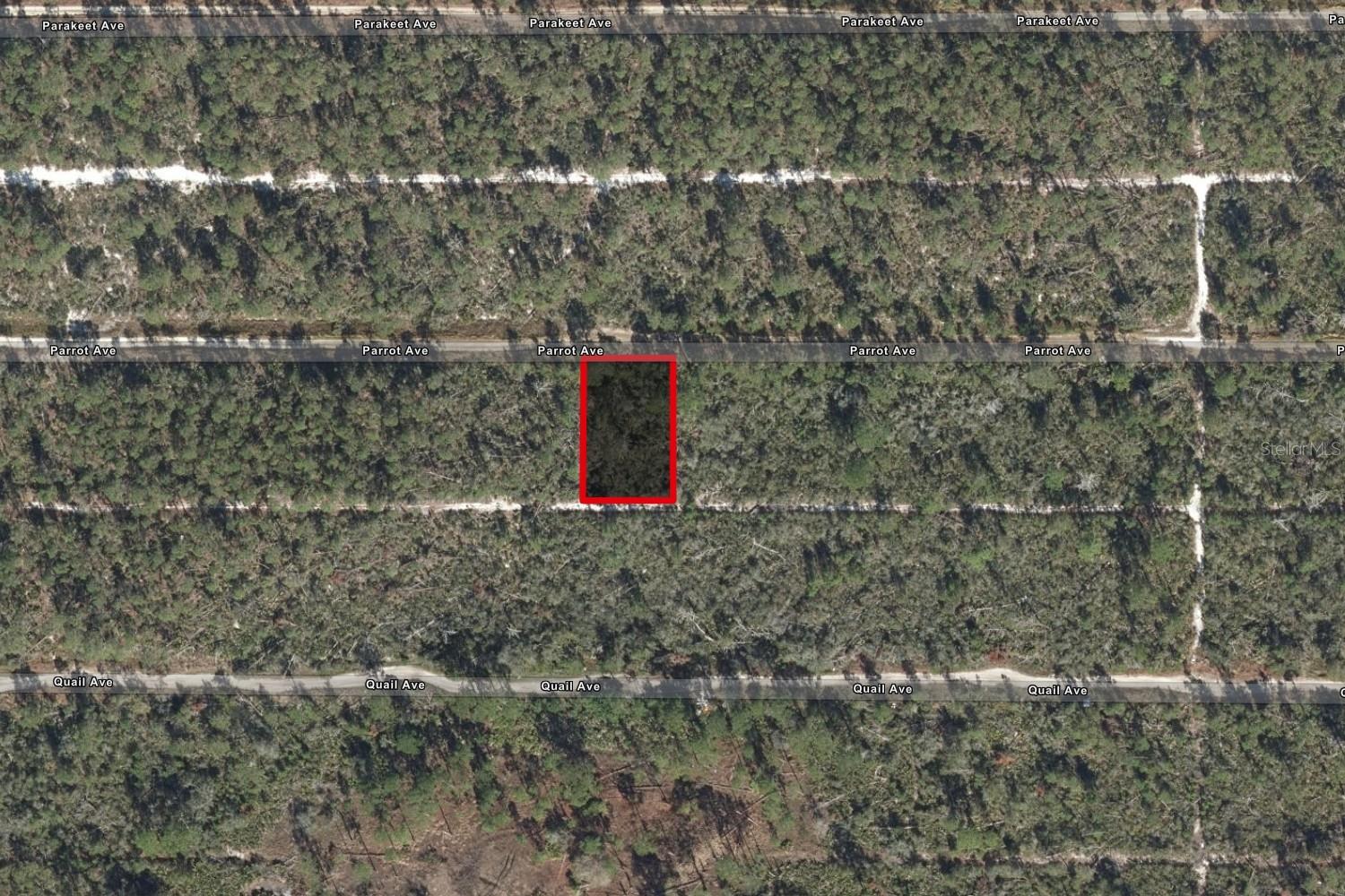 533 Parrot Ave, FL