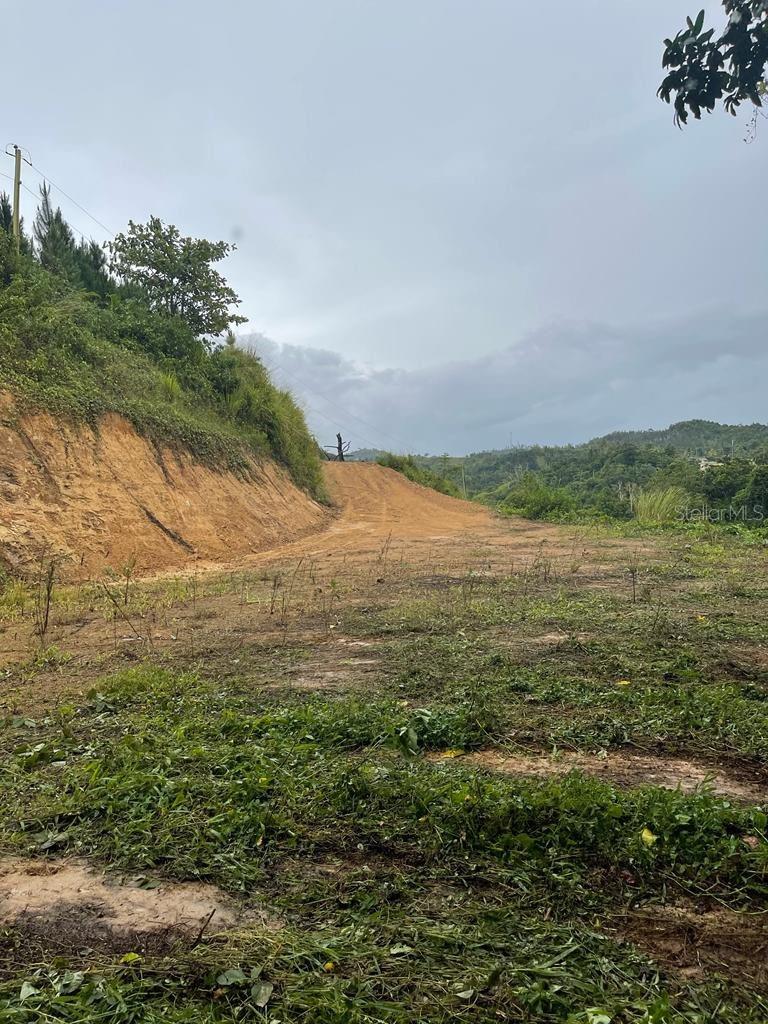 Lote #7 Bo Montellano, PR