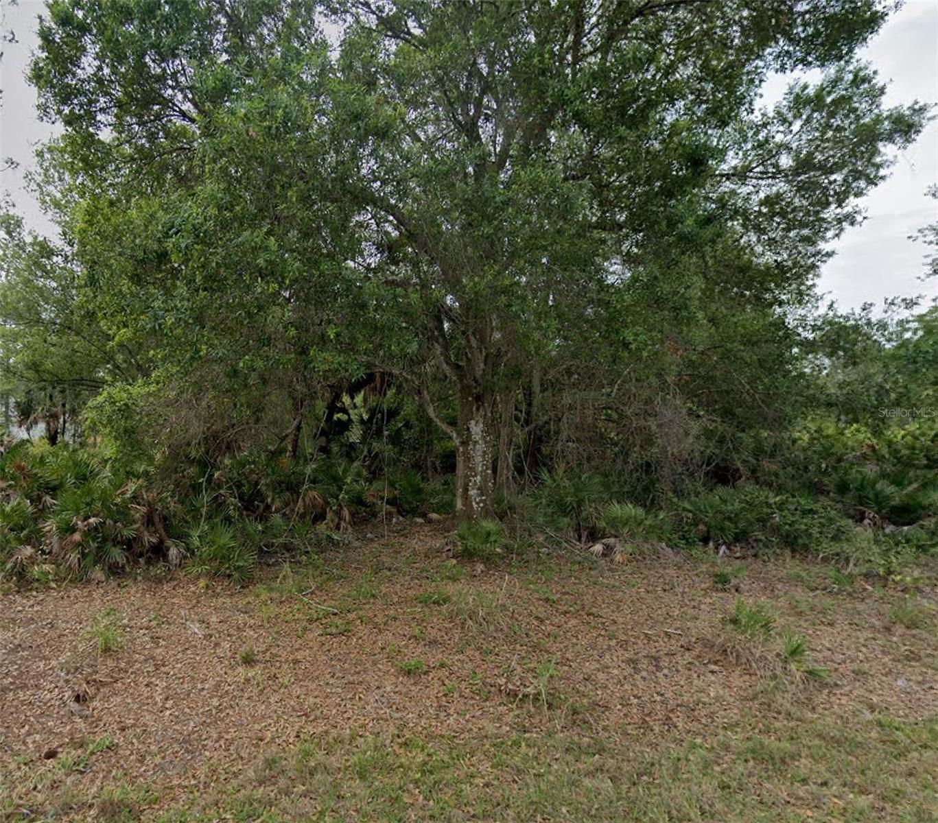 23469 Winthrob Avenue, FL