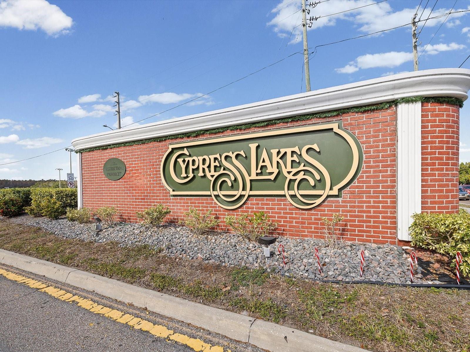 8704 Cypress Lakes Boulevard, FL
