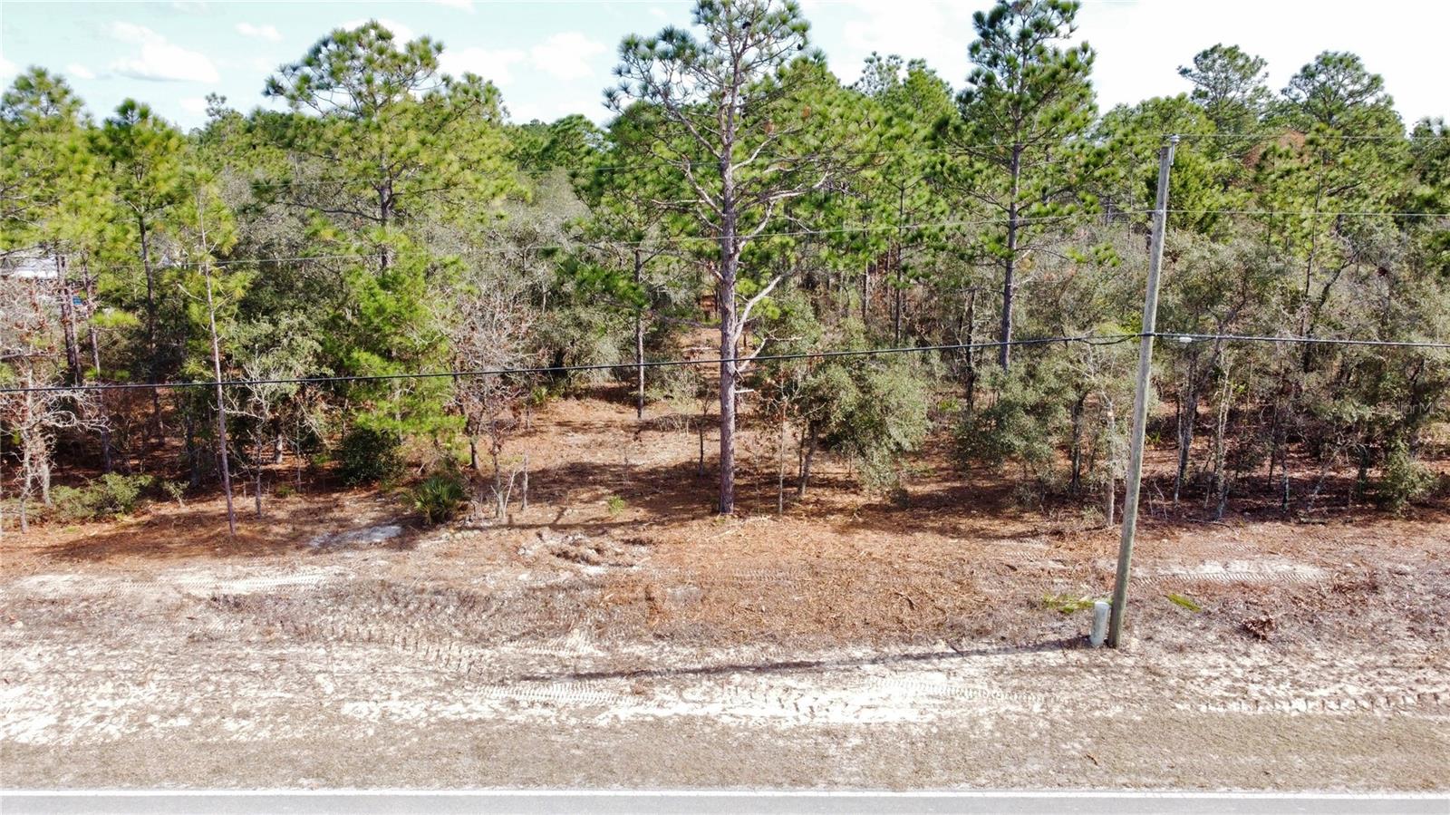 8951 N Citrus Springs Blvd, FL
