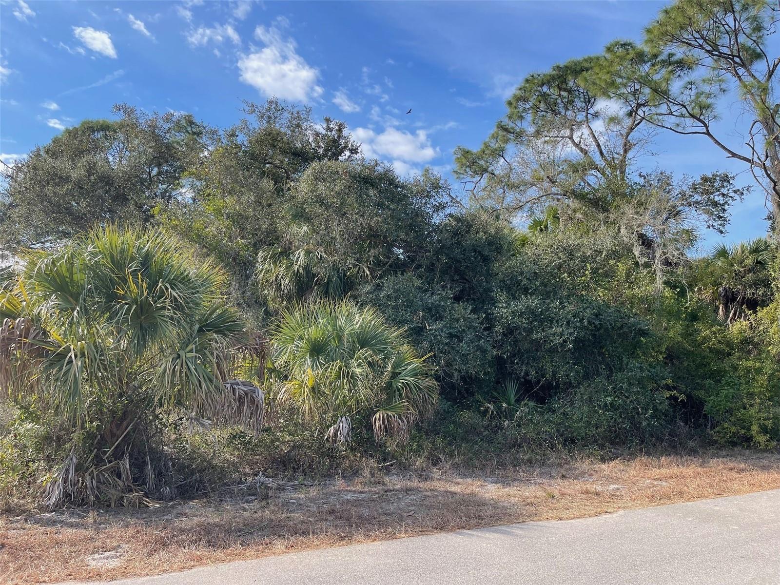 Abate Avenue, FL