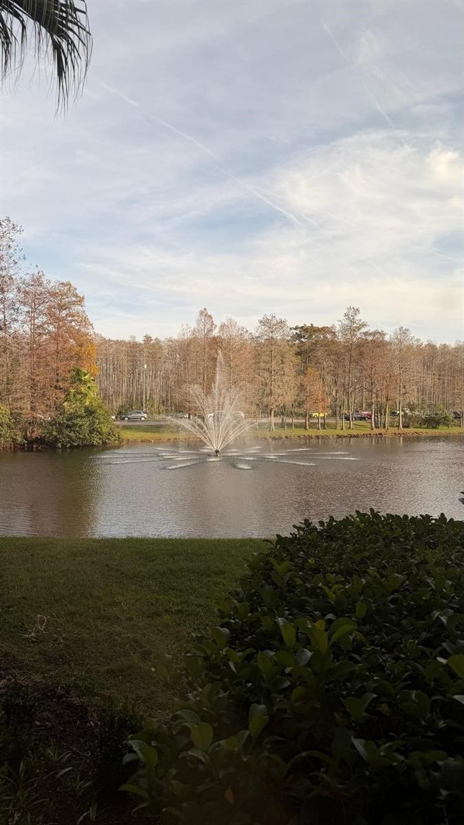 13584 Turtle Marsh Loop, FL