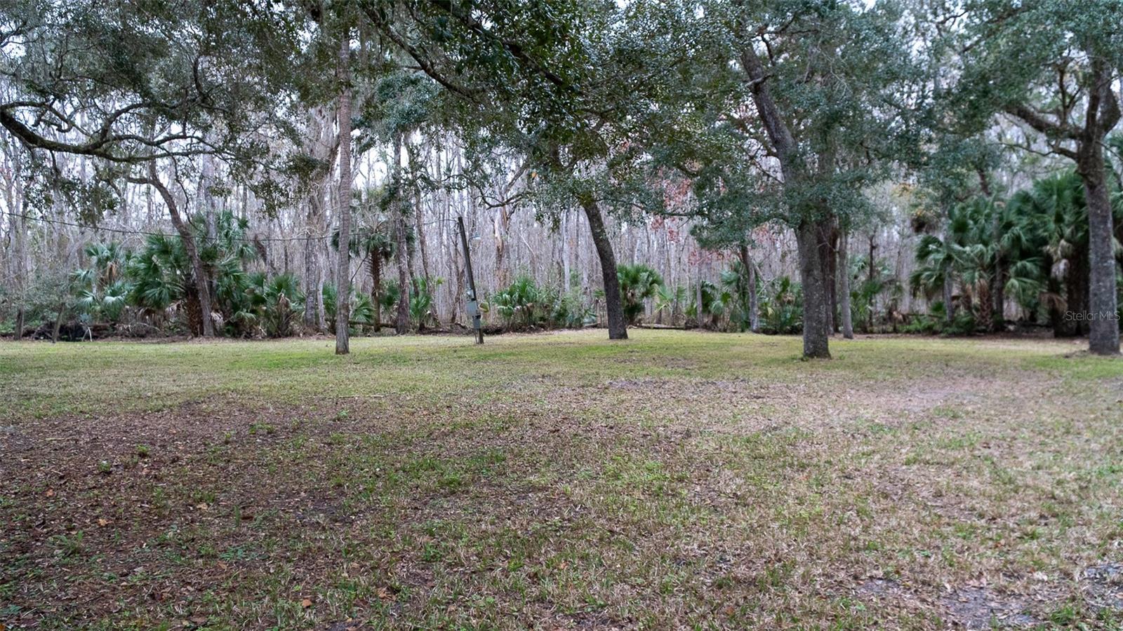 155 Fran Lane, FL