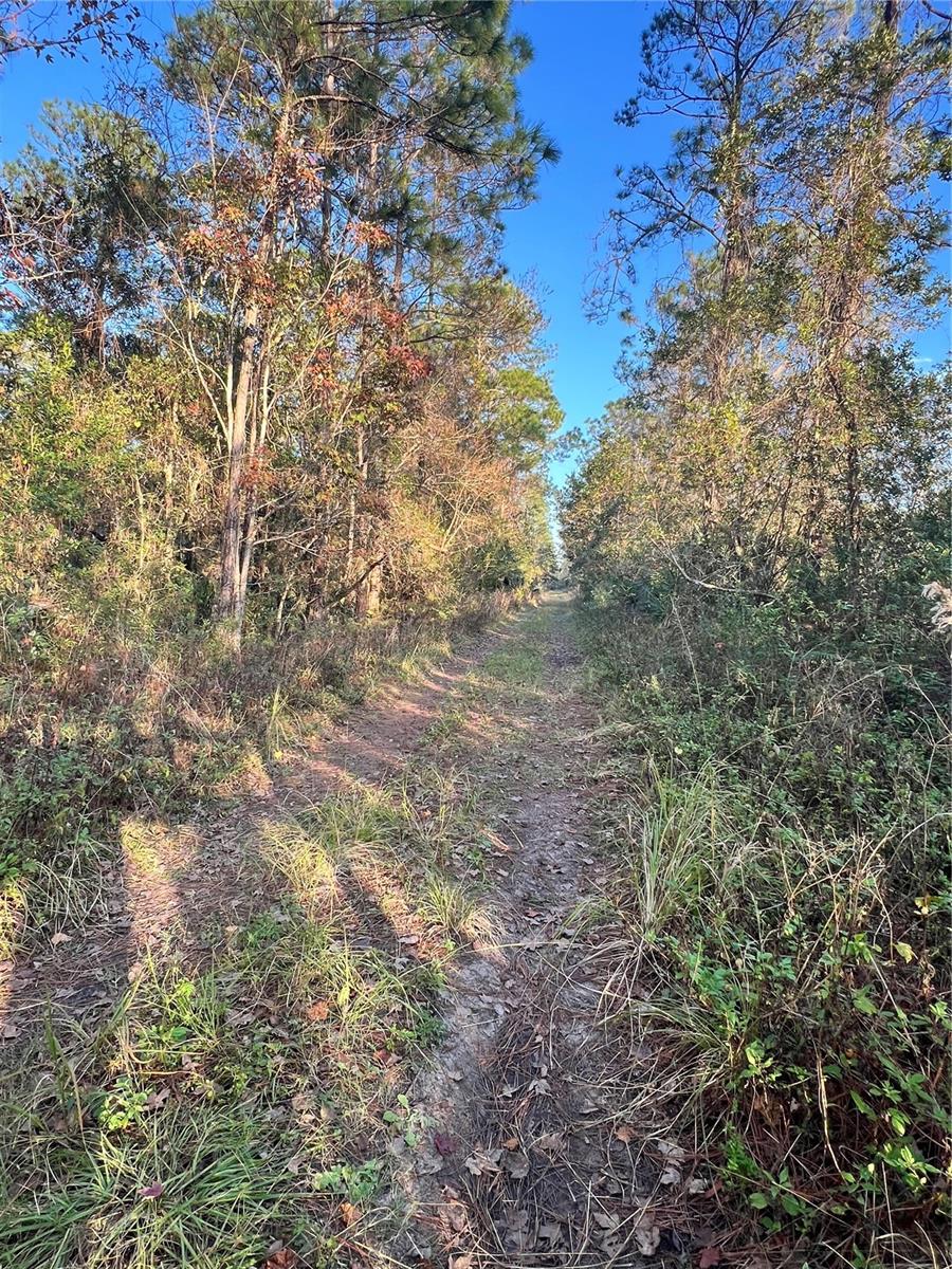 University Highlands/ Deland Crossings, FL