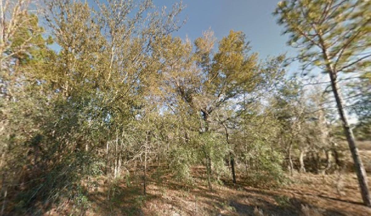 Ne 154th Ave, FL