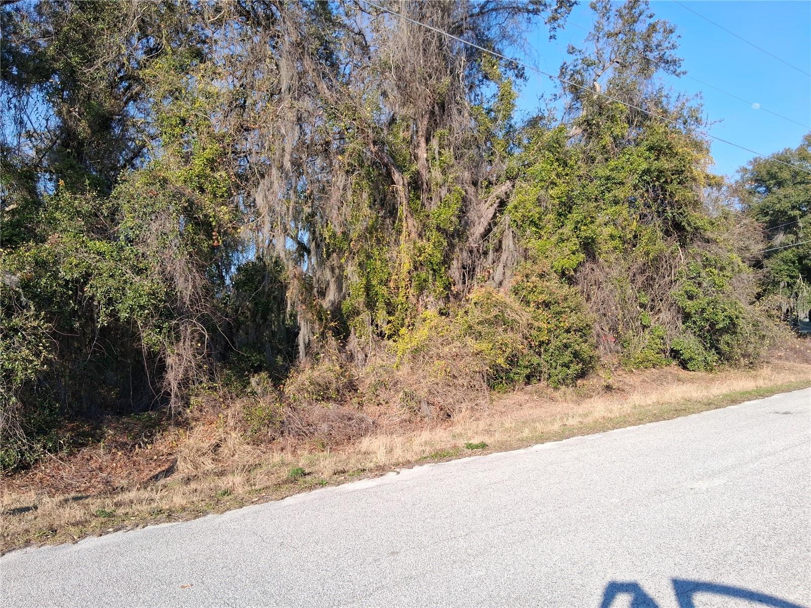 Mulberry St, FL