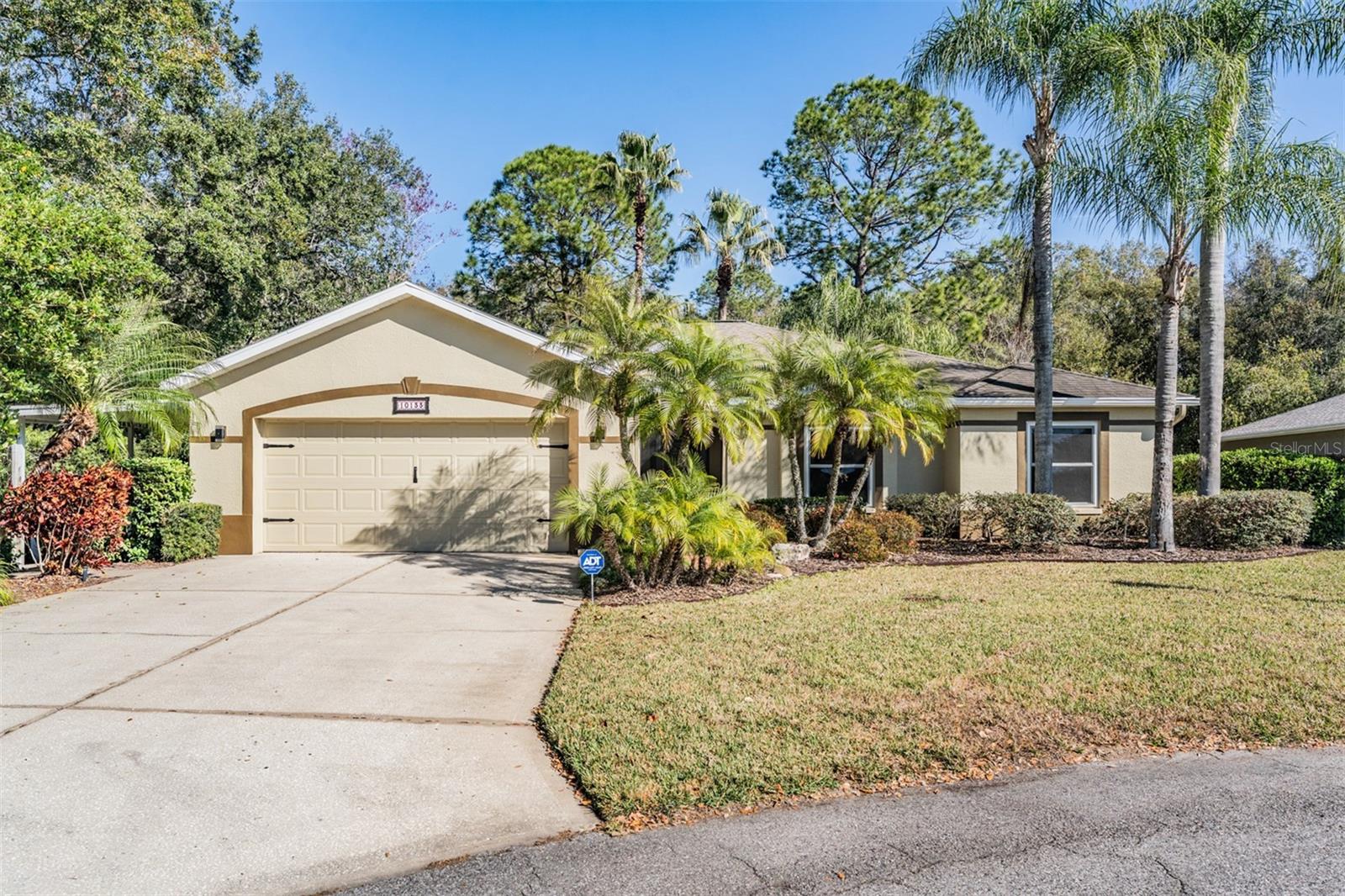 10133 Collar Drive, FL