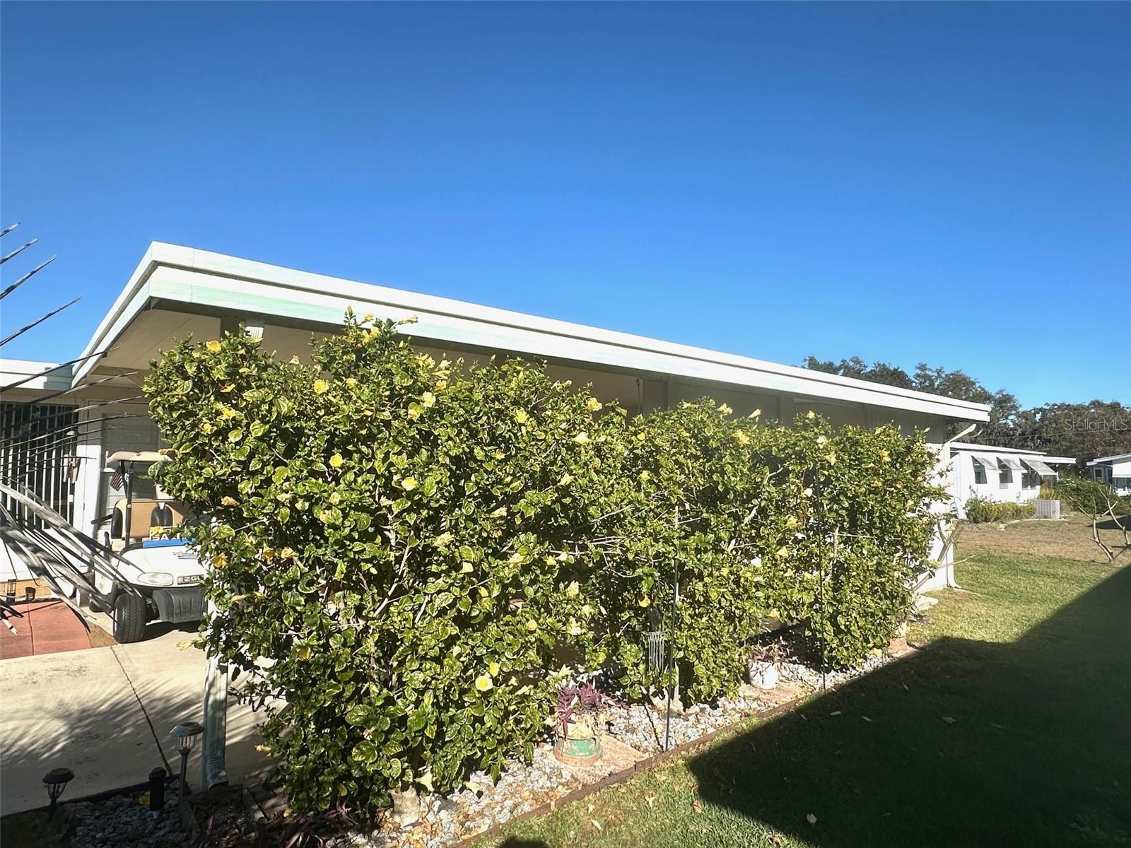 428 Palo Verde Drive, FL