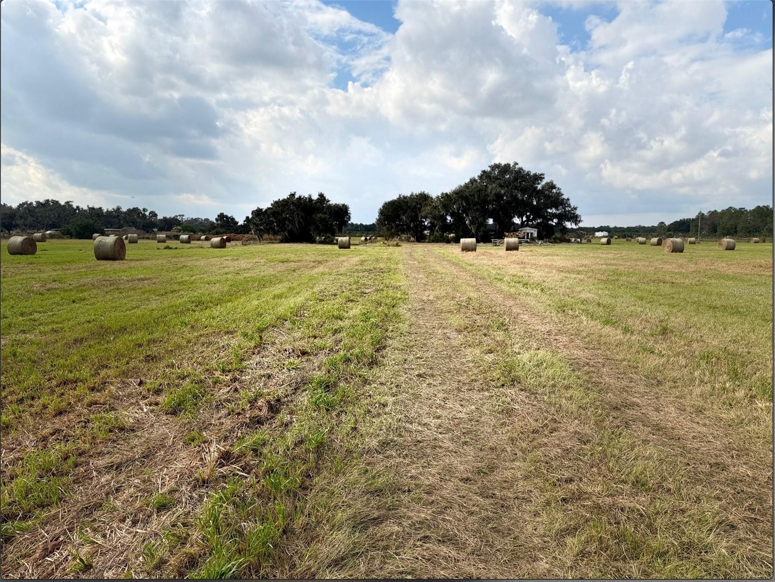 13029 County Road 39, FL