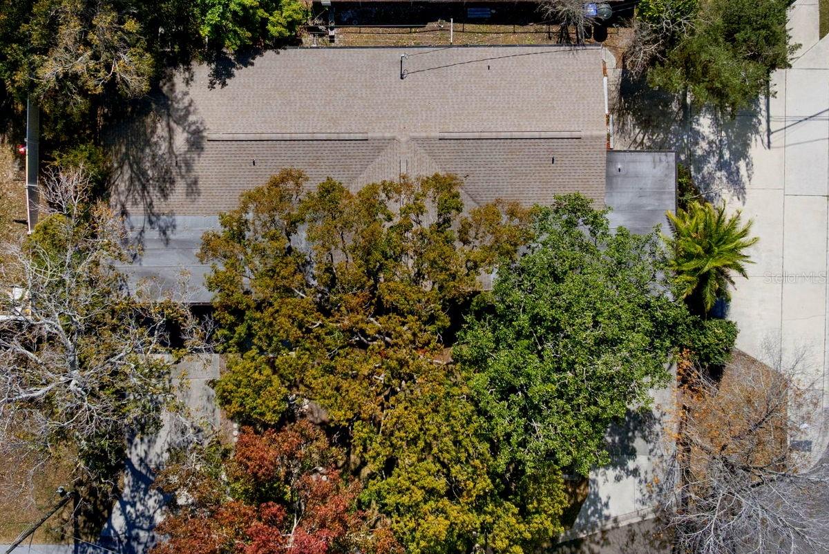 1301 Lotus Drive, FL