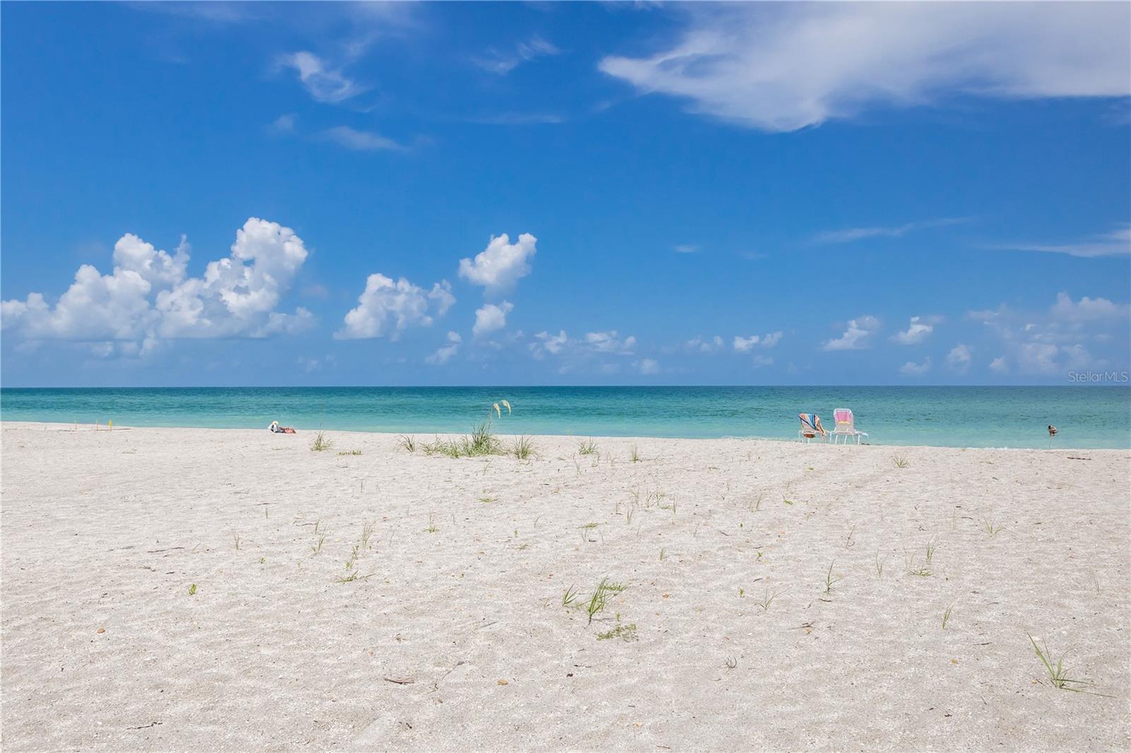 320 Gulf Blvd #5c, FL