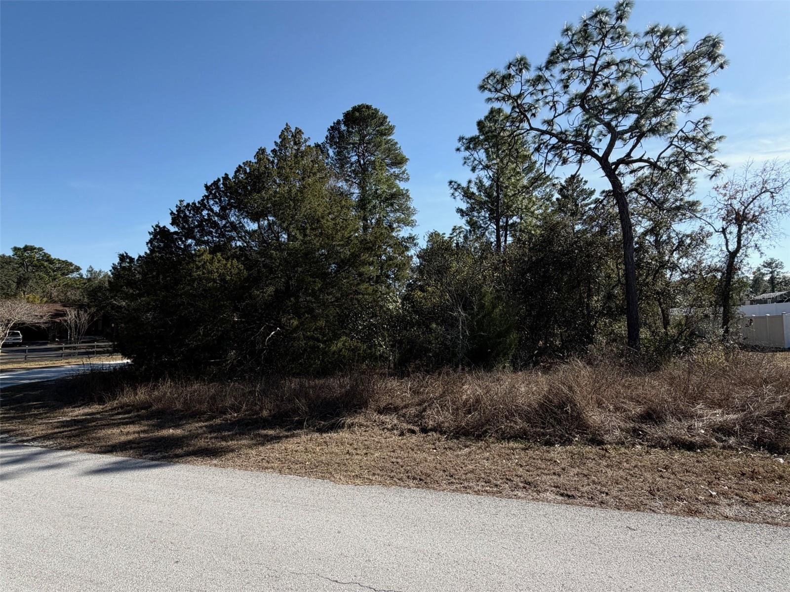 0 Gyrafalcon Ave, FL