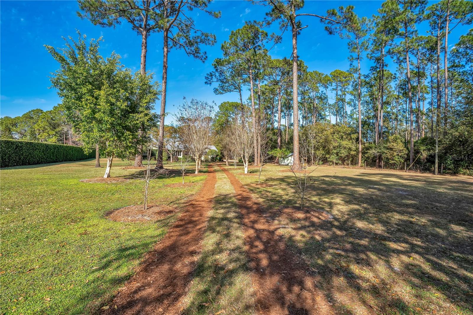 11451 Fangorn Road, FL