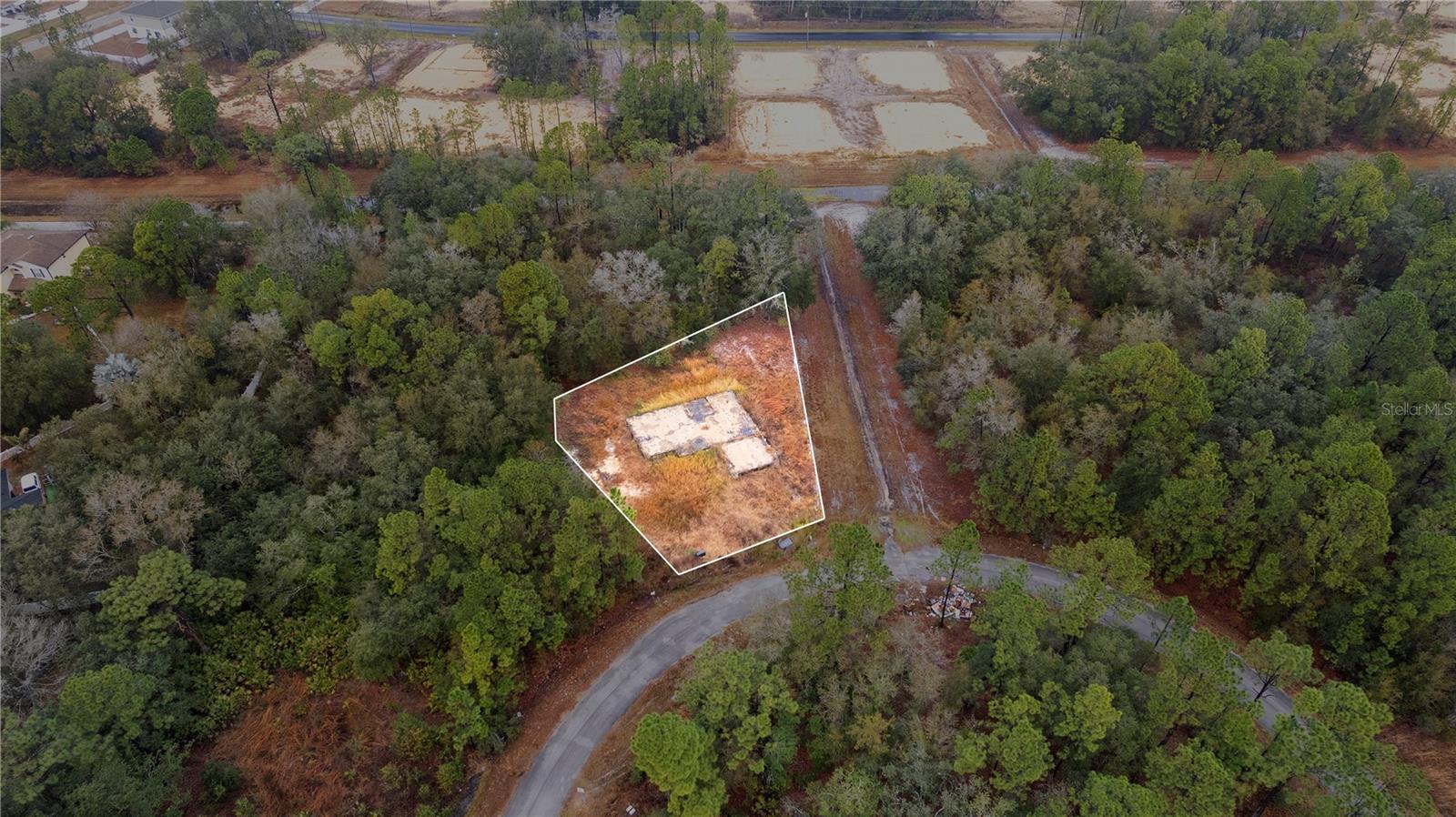 1443 Tern Court, FL