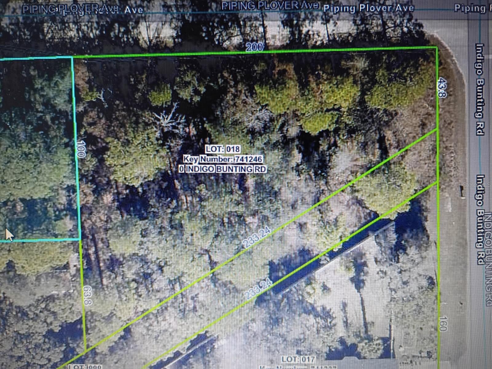 12449 Indigo Bunting, FL