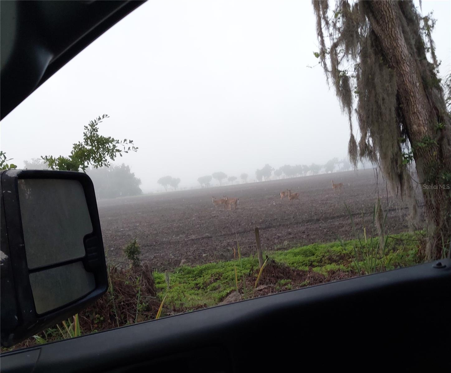 1823 Welcome Road, FL