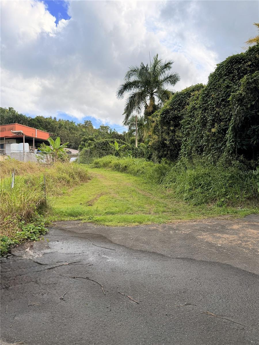 Cta. Abajo Bo. Barrazas, PR