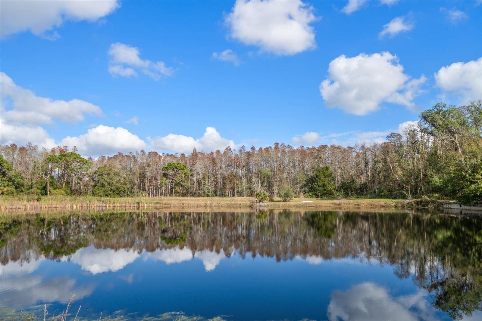 18409 Tyler Road, FL