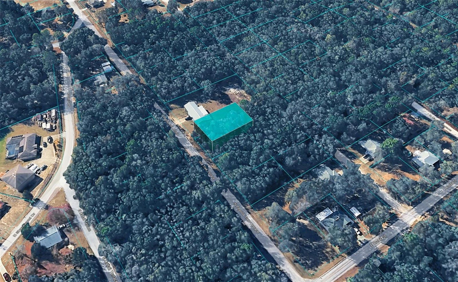 6600 N Pagoda Tree Ter, FL