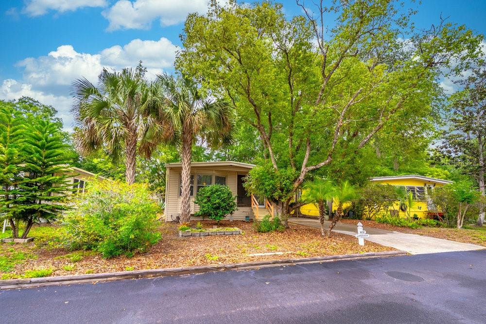 508 W Plantation Blvd, FL