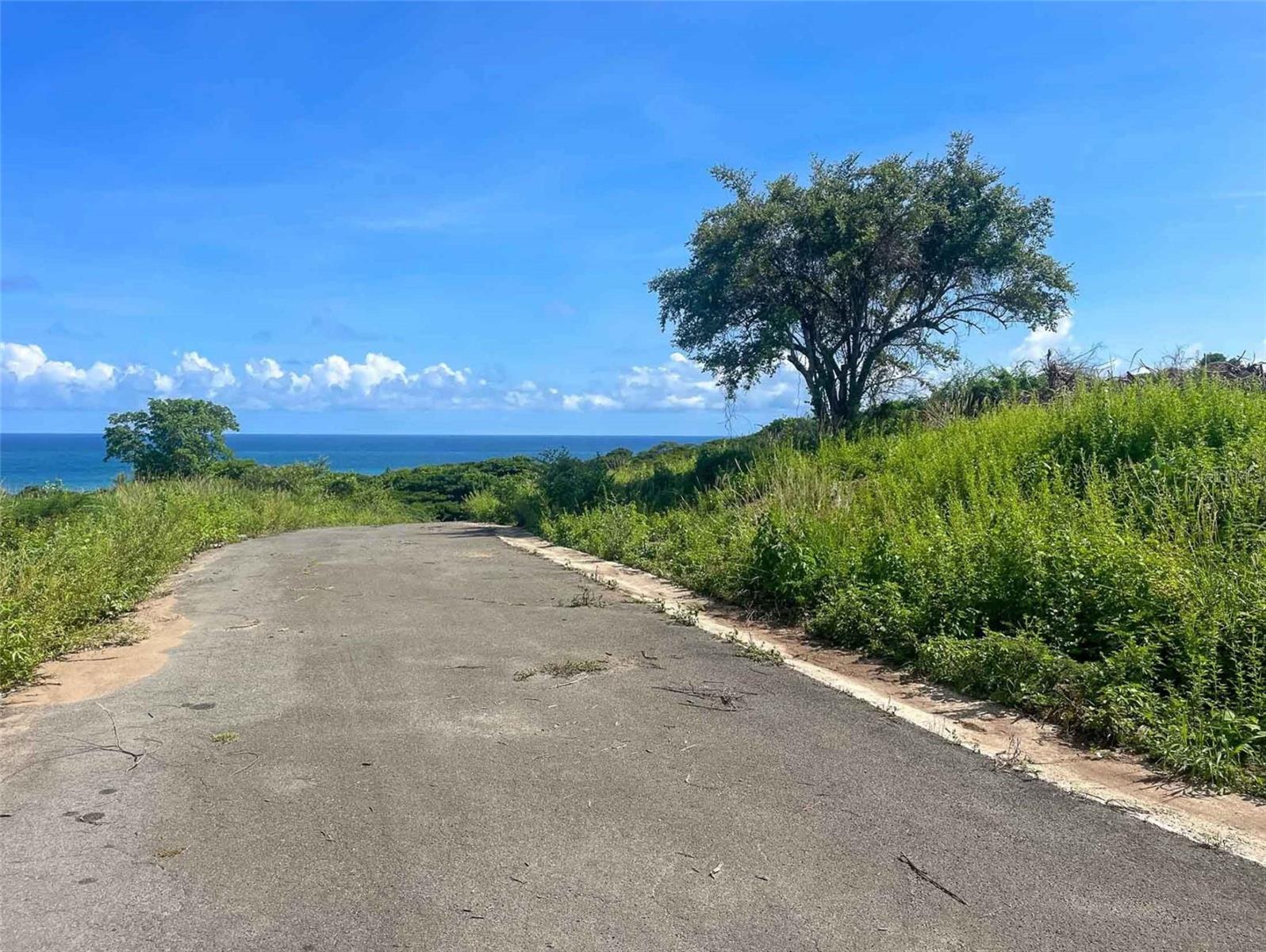 2c Hacienda Puerto Real, PR