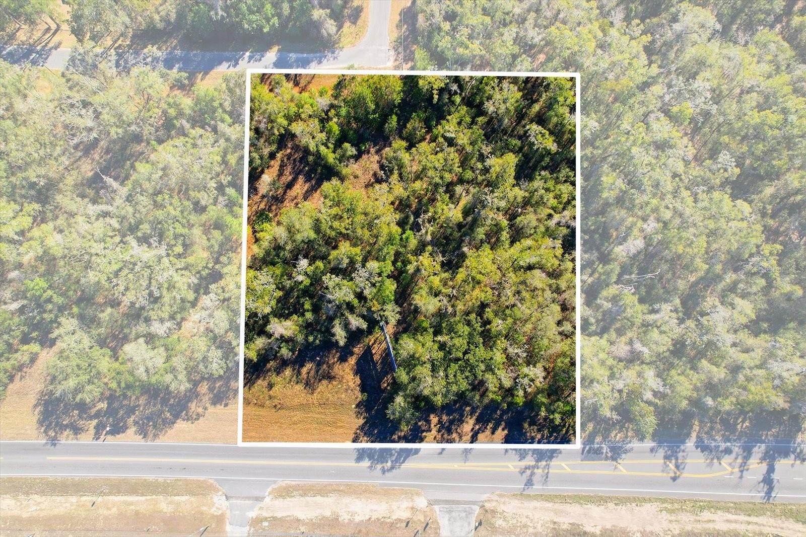 7021 & 7017 Lecanto Highway, FL