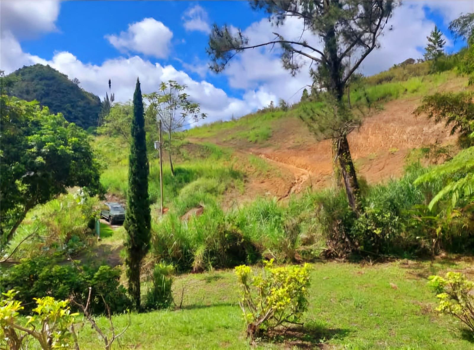 720 Palo Hincado, PR