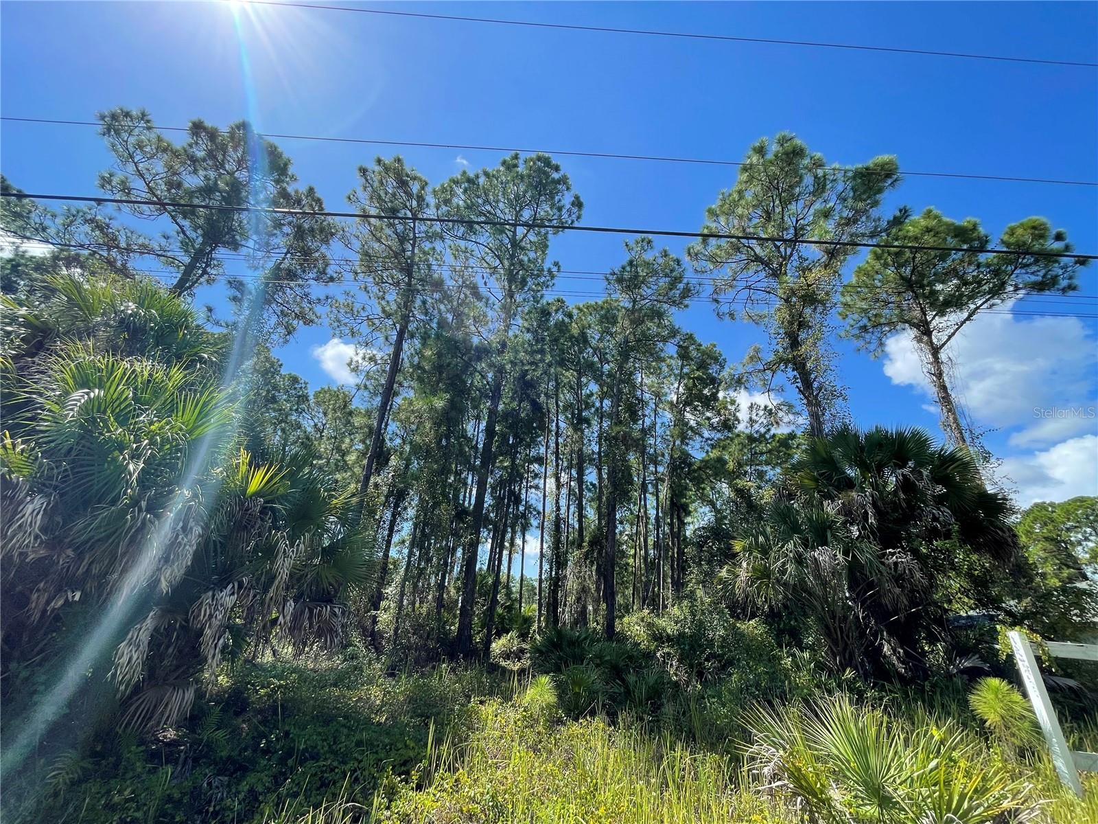 Noppenberg Avenue, FL