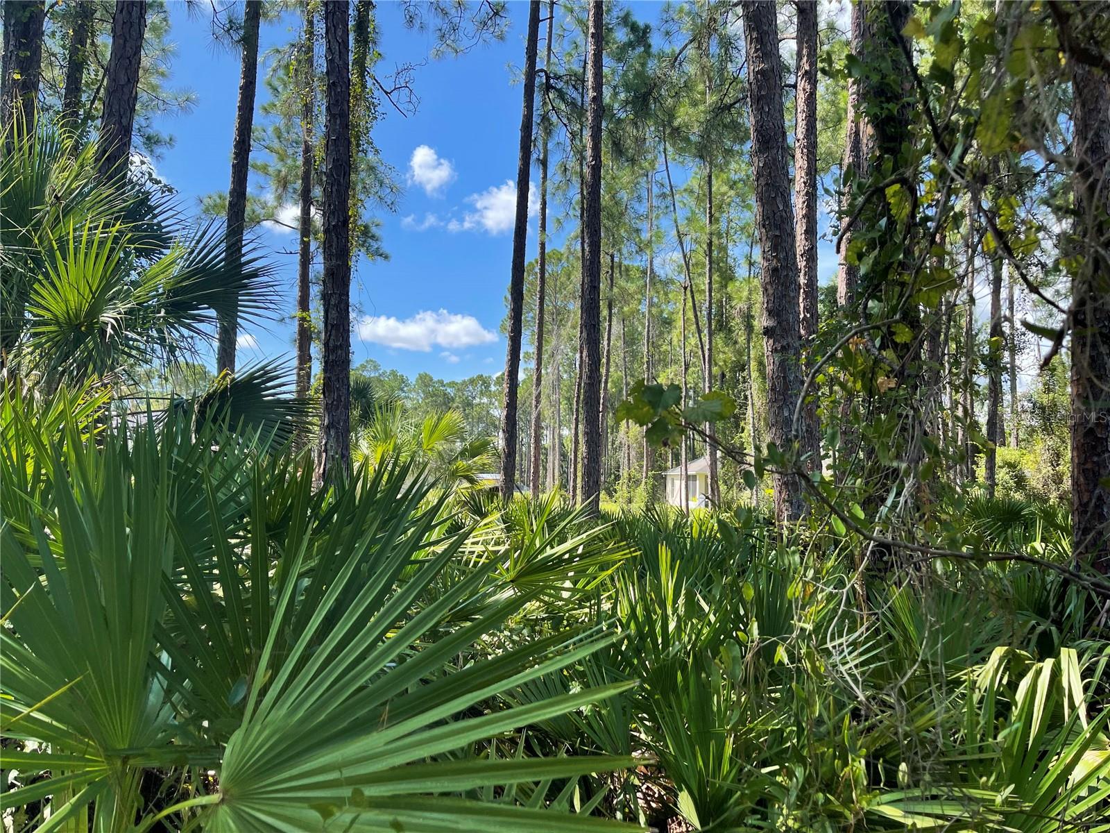 Noppenberg Avenue, FL
