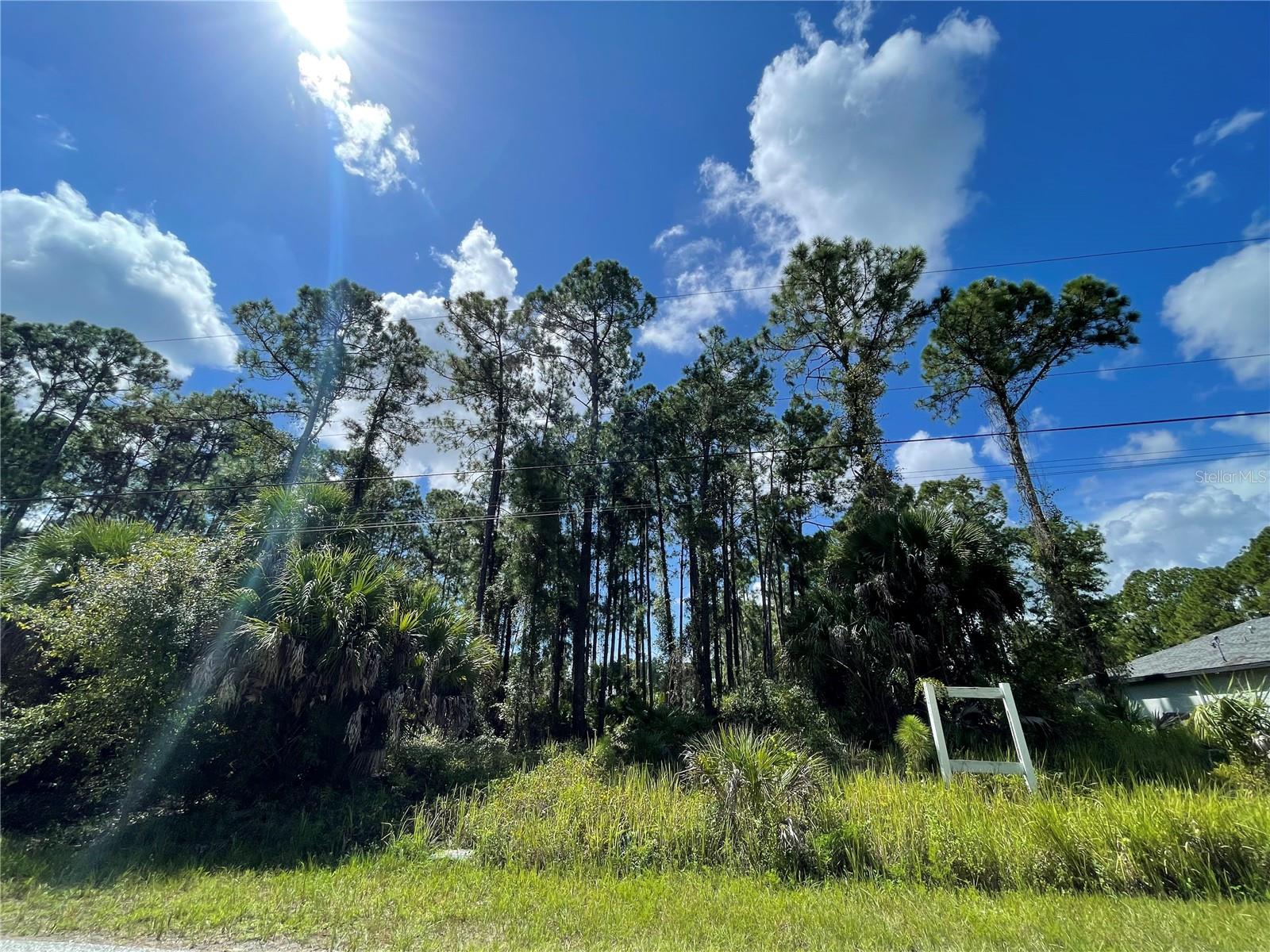 Noppenberg Avenue, FL