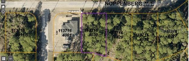 Noppenberg Avenue, FL
