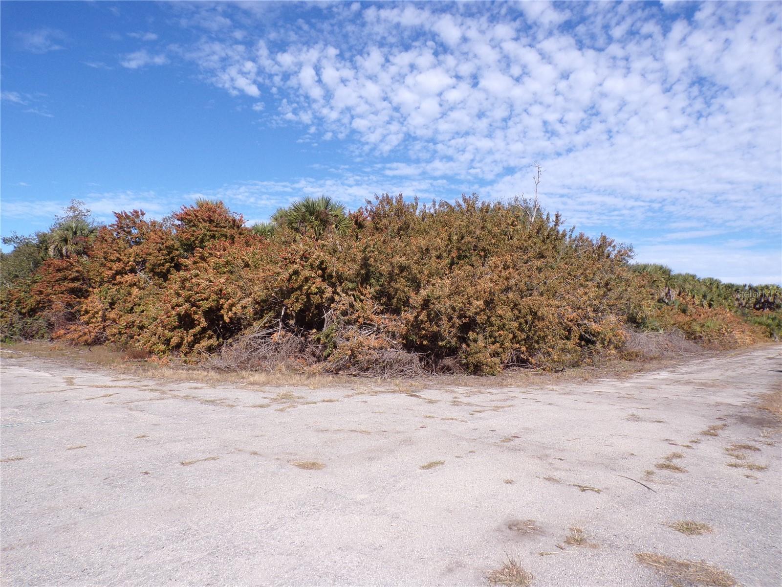 Crimsonglory Road, FL