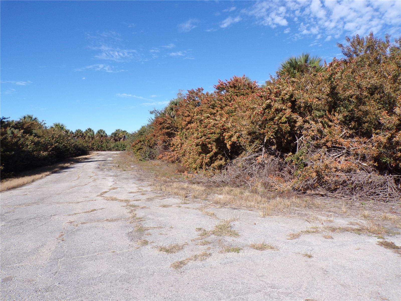 Crimsonglory Road, FL