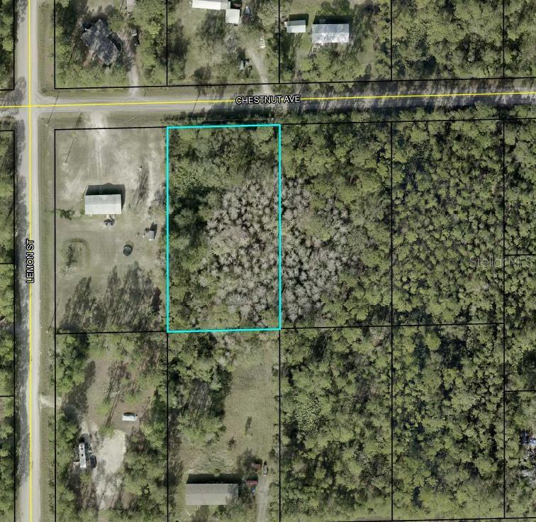 5603 Chestnut Avenue, FL