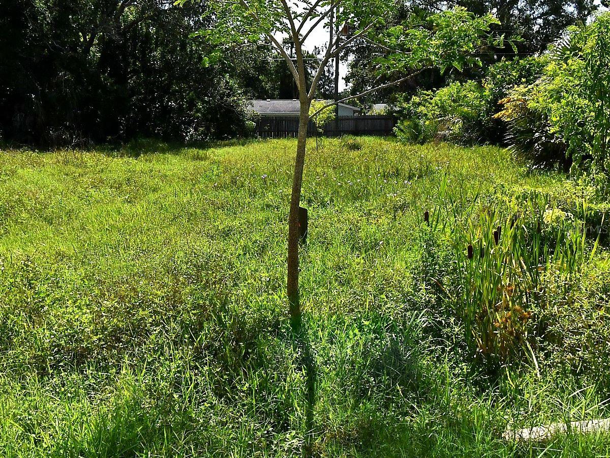 Olive Avenue, FL