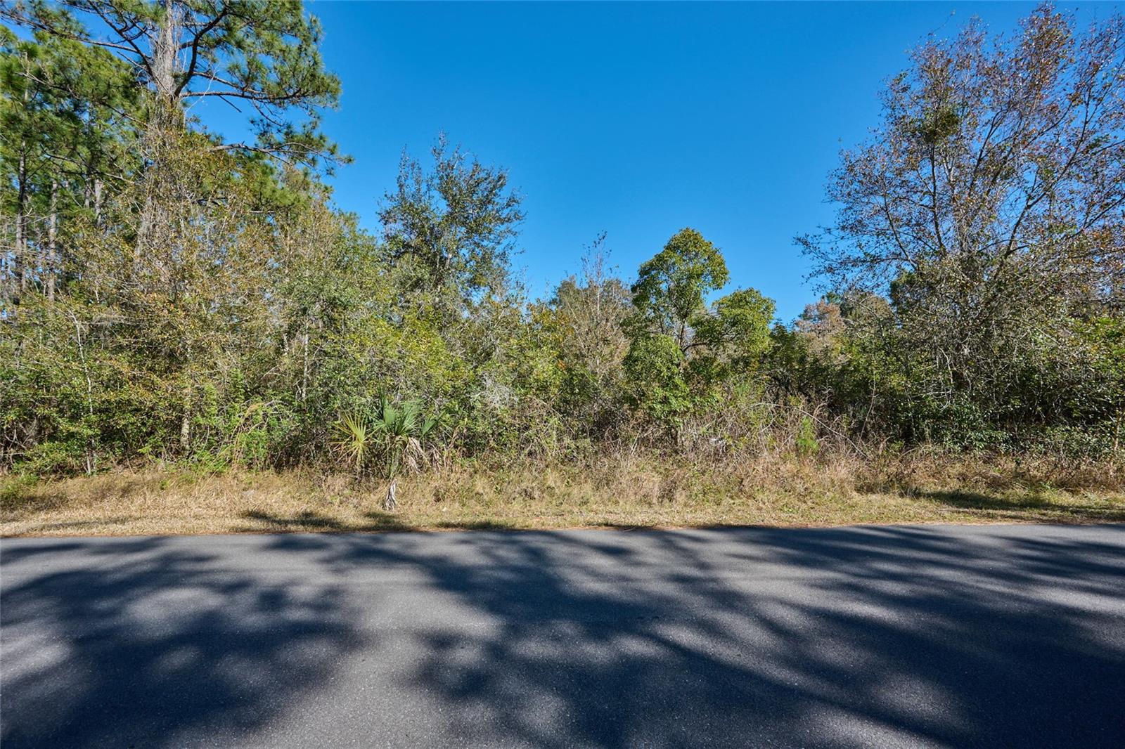 0 Lantana Dr S, FL