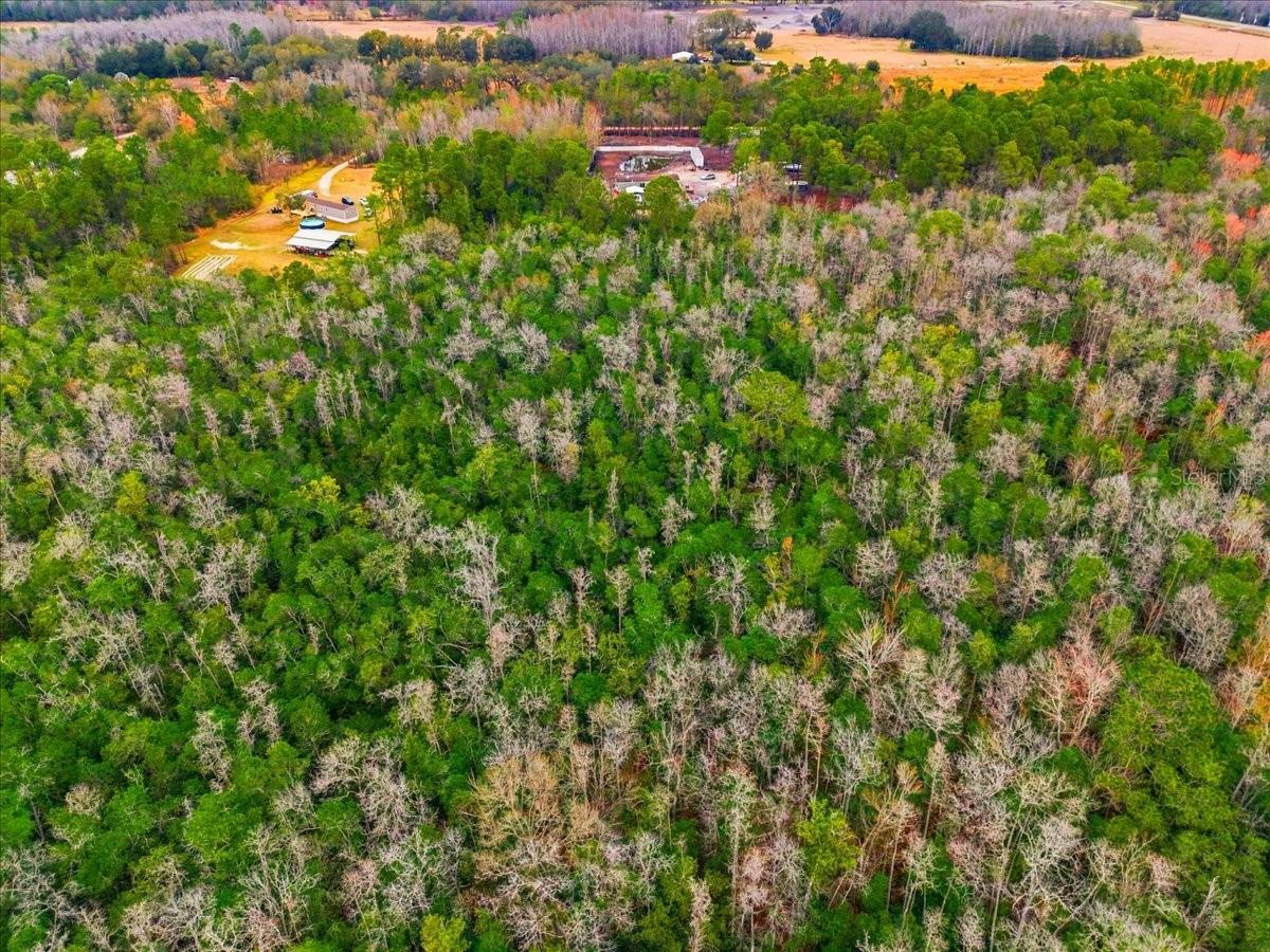 6963 Sugarbush Lane, FL