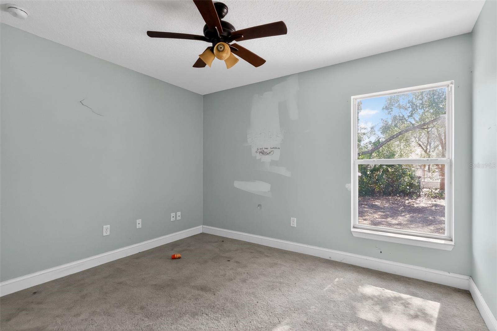 36101 Mattawan Drive, FL
