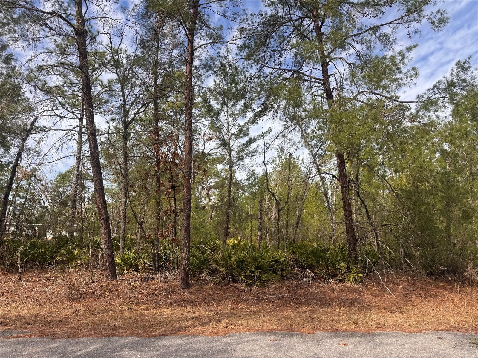 Malauka Lane Pass, FL