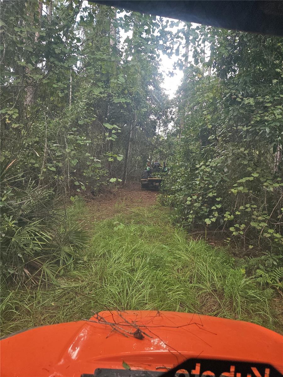 1255 Black Bear Ranch Trail, FL