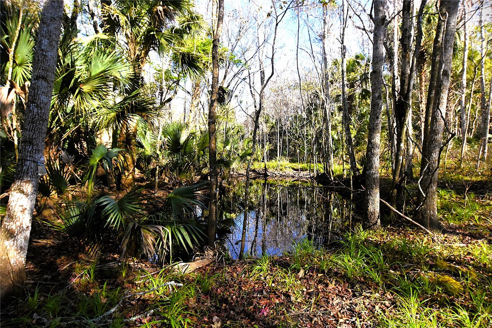 4721 Lingo Grove Road, FL