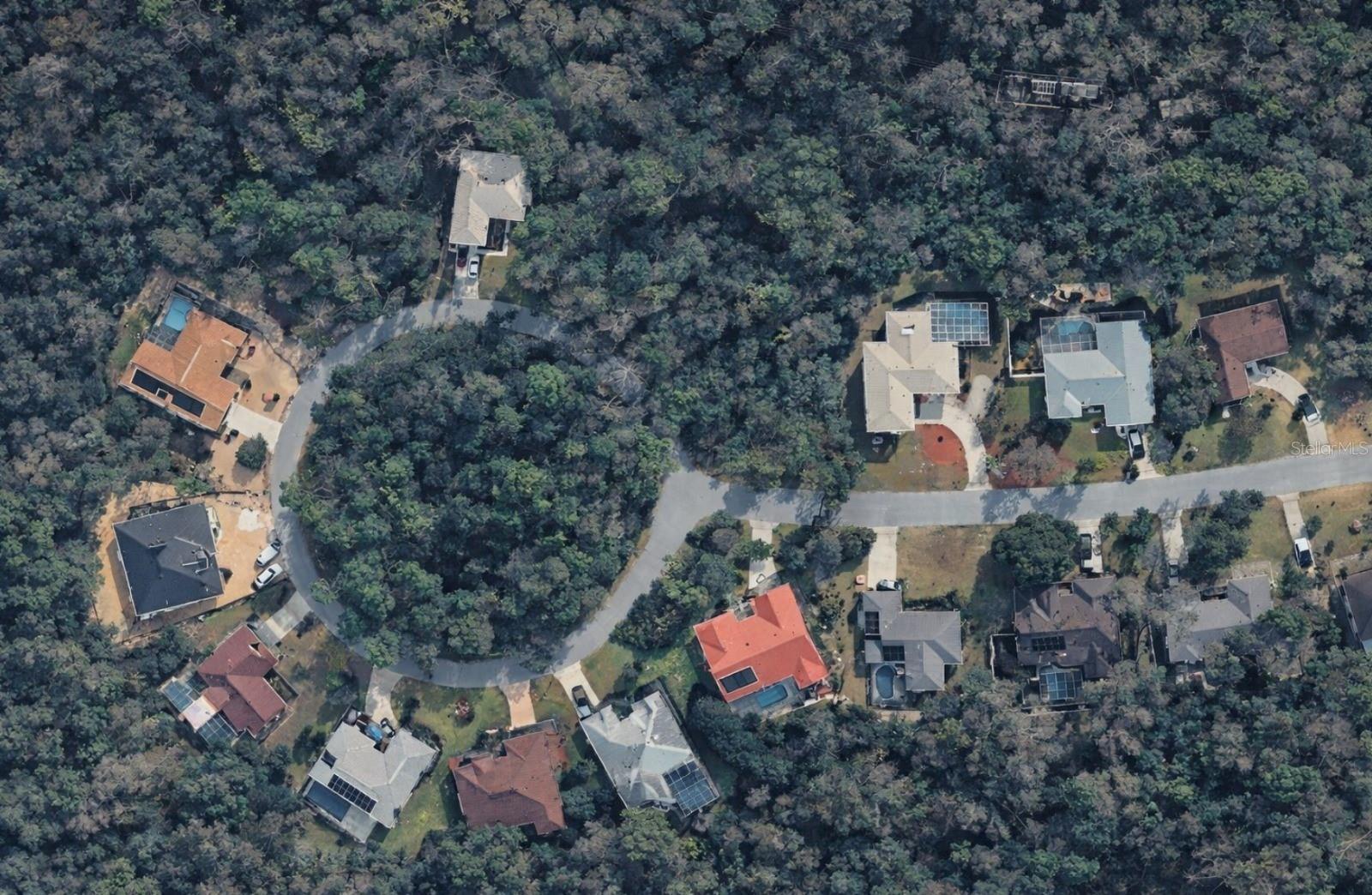 26 Wild Olive Ct, FL