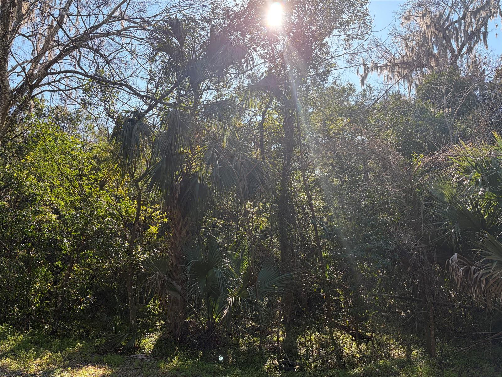 Lot 15 Quebec Avenue, FL