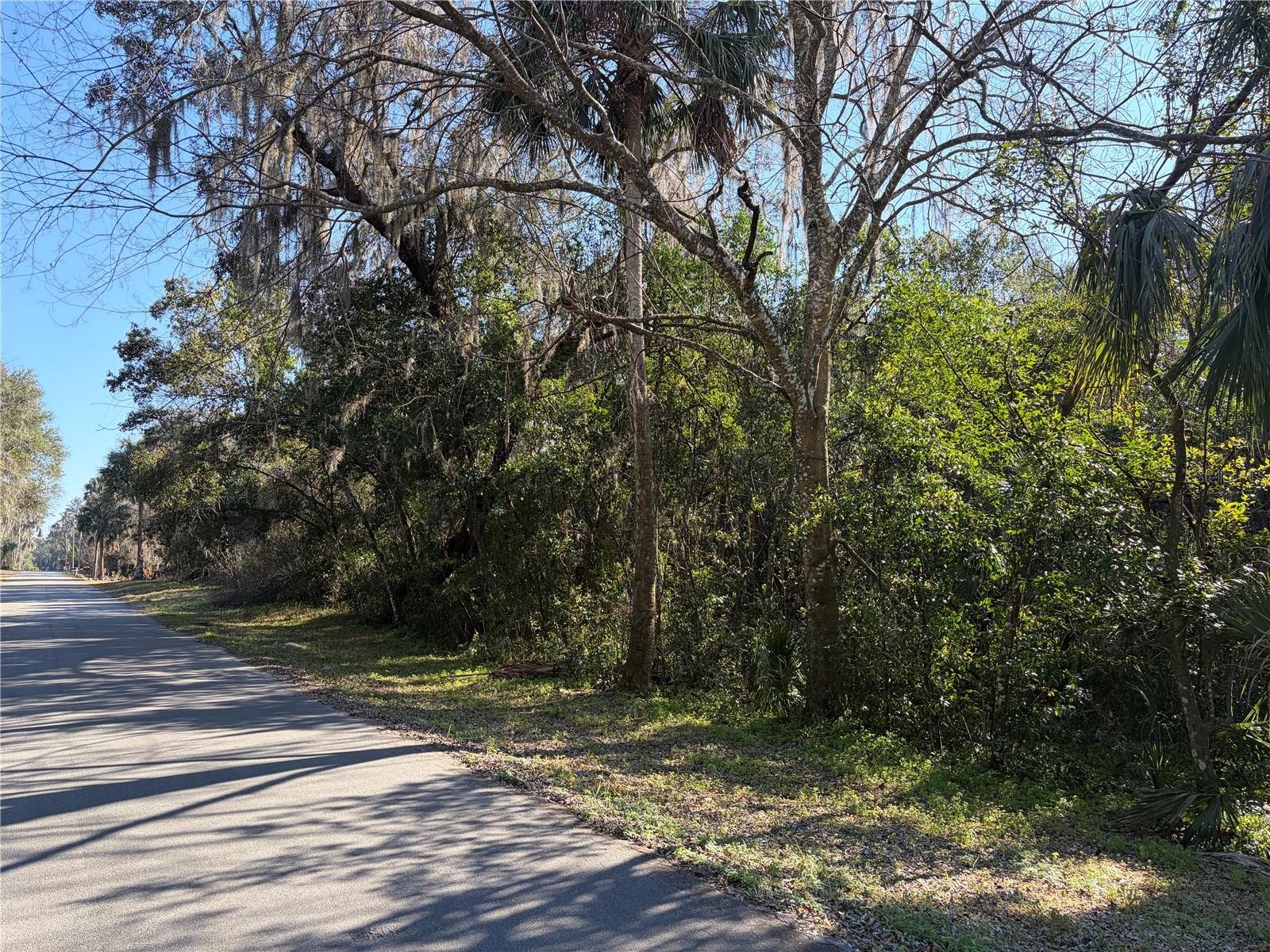 Lot 15 Quebec Avenue, FL