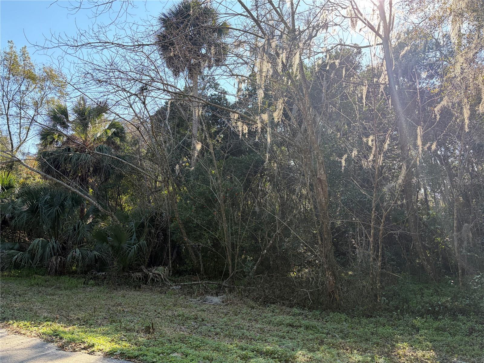 Lot 15 Quebec Avenue, FL