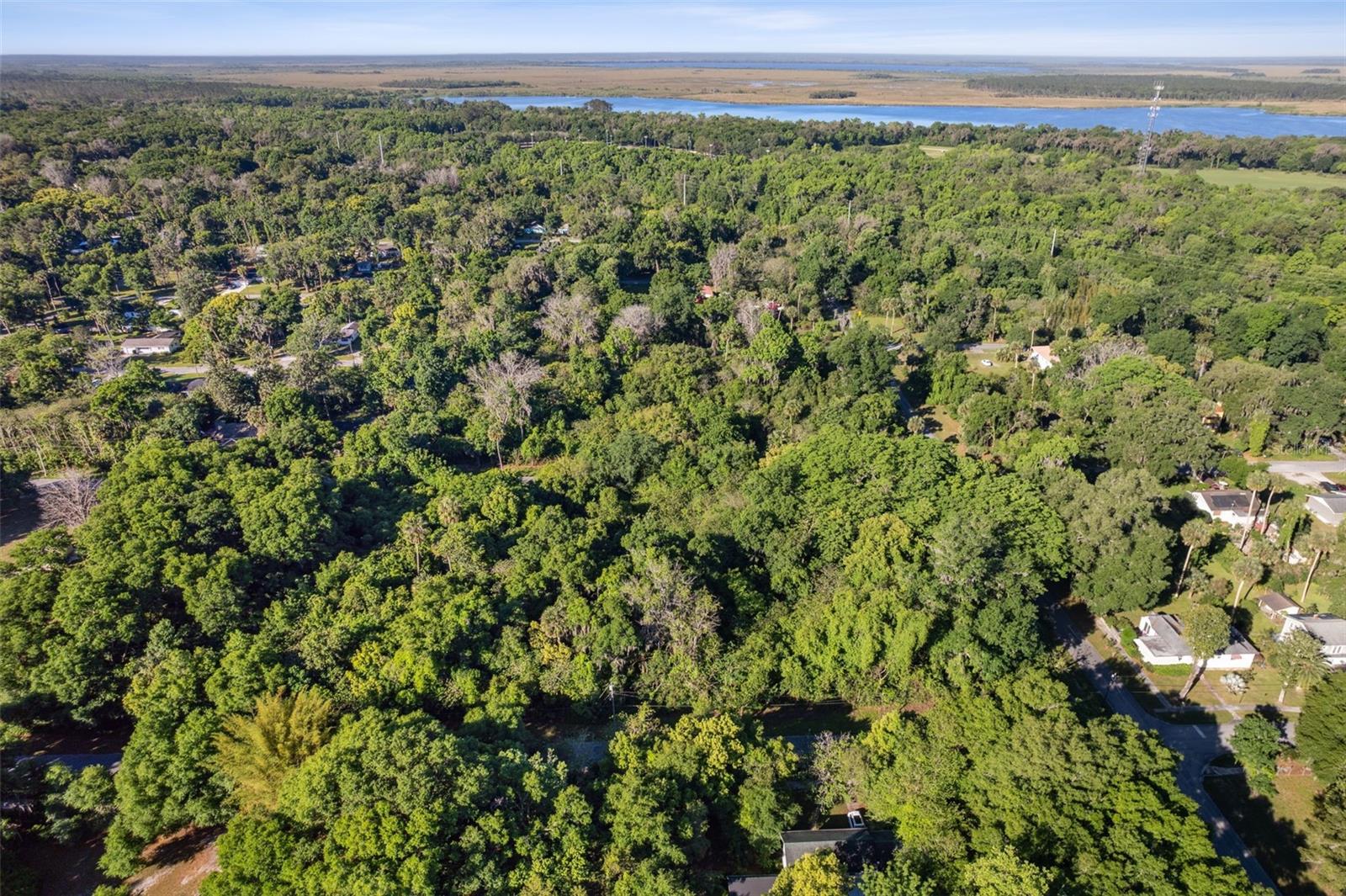 Lot 16 Quebec Avenue, FL