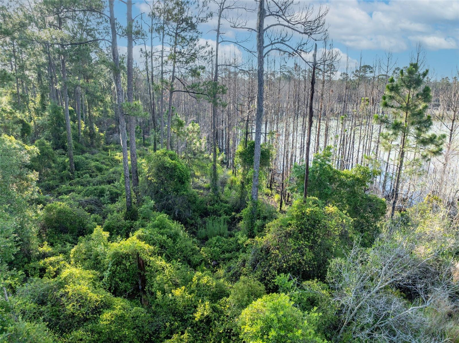 Melshire Avenue, FL