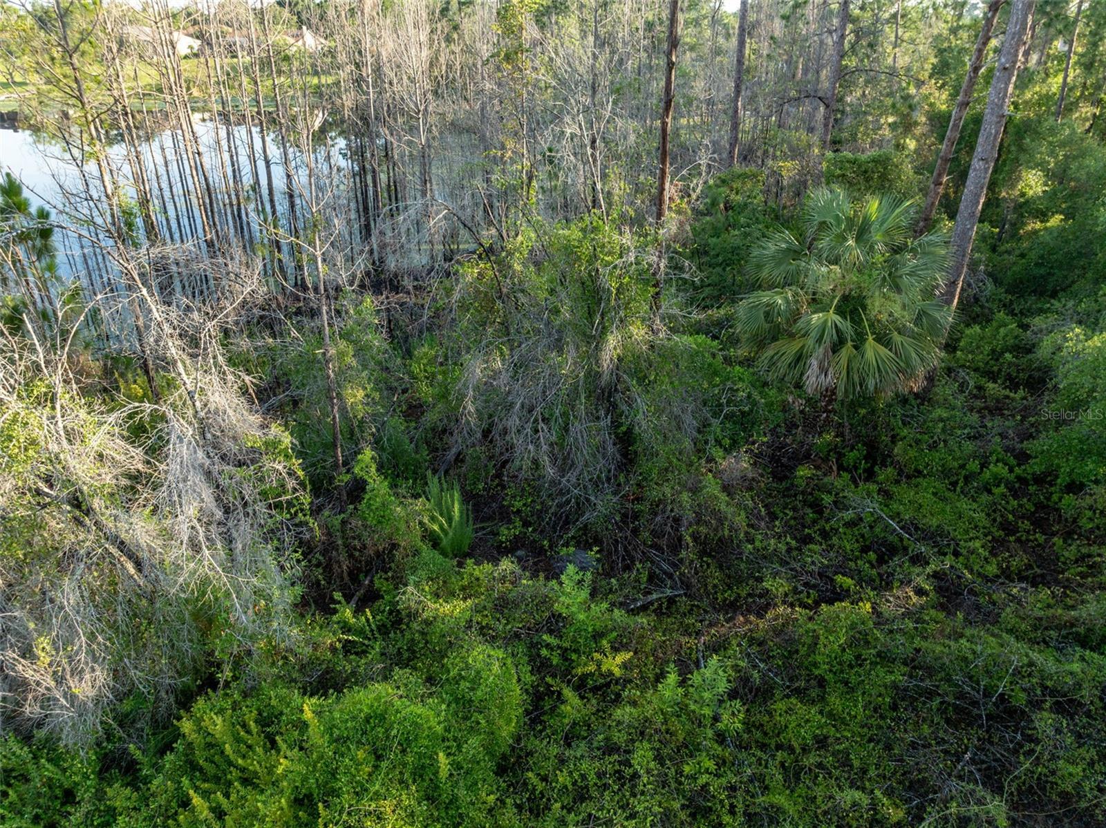 Melshire Avenue, FL