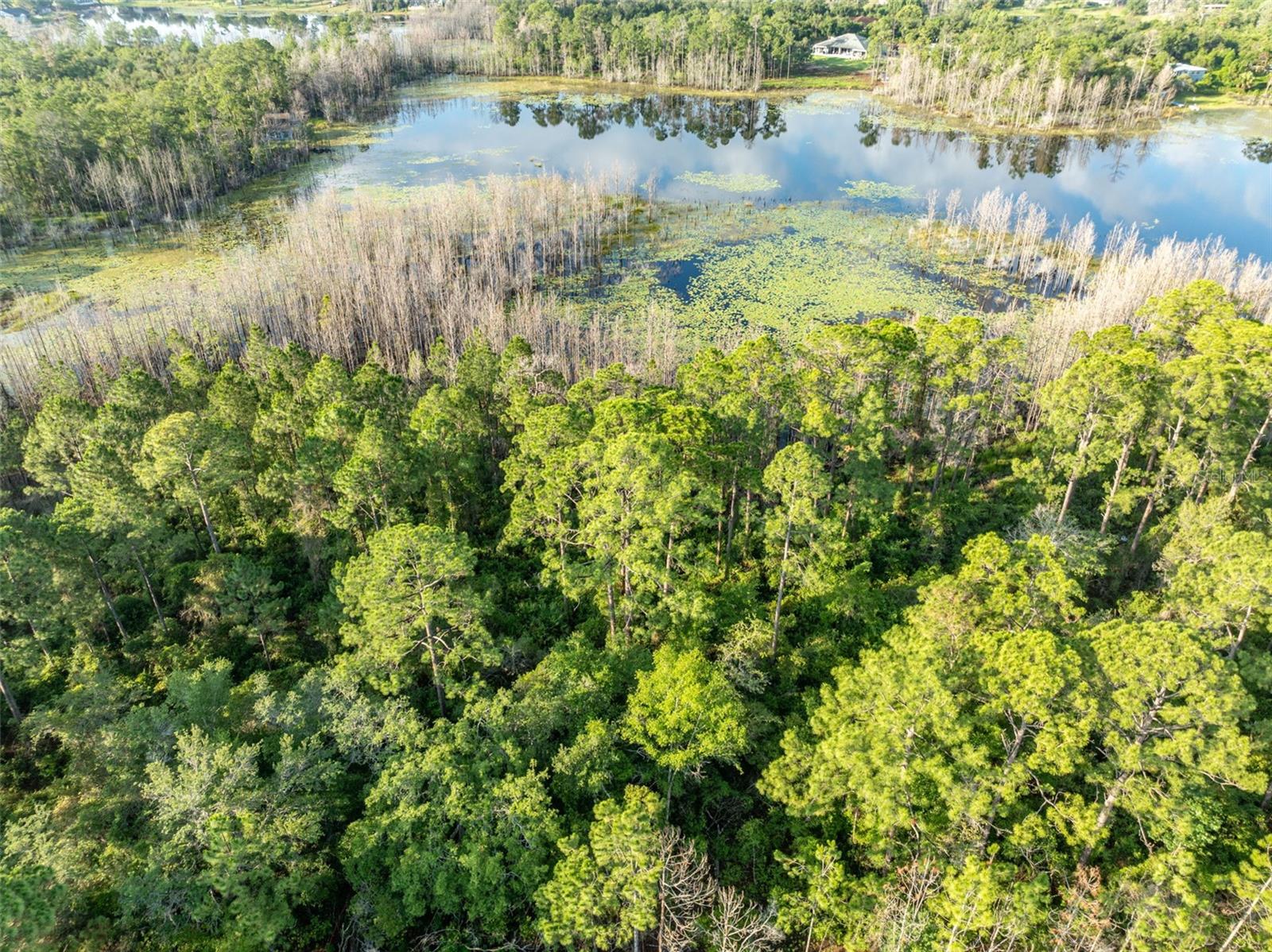 Melshire Avenue, FL